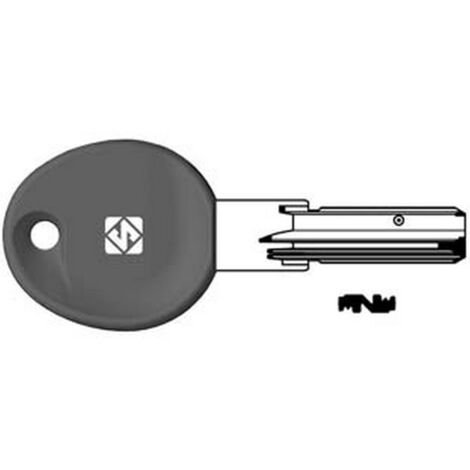 5PZ CHIAVI PUNZONATE PER CILINDRI ISEO 5+6+6 SPINE IE38RP - IE38RP