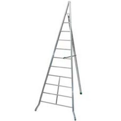 1PZ SCALA TRIANGOLARE AGRI IN ALLUMINIO D.LGS. 81/08 - 6 gr. cm.250h. Kg.5,70 (AG250)
