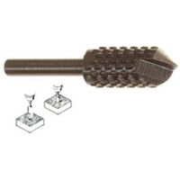 5BL FRESA-RASPA A SVASARE ROTATIVA PER LEGNO - codolo mm.6 PG 438.00