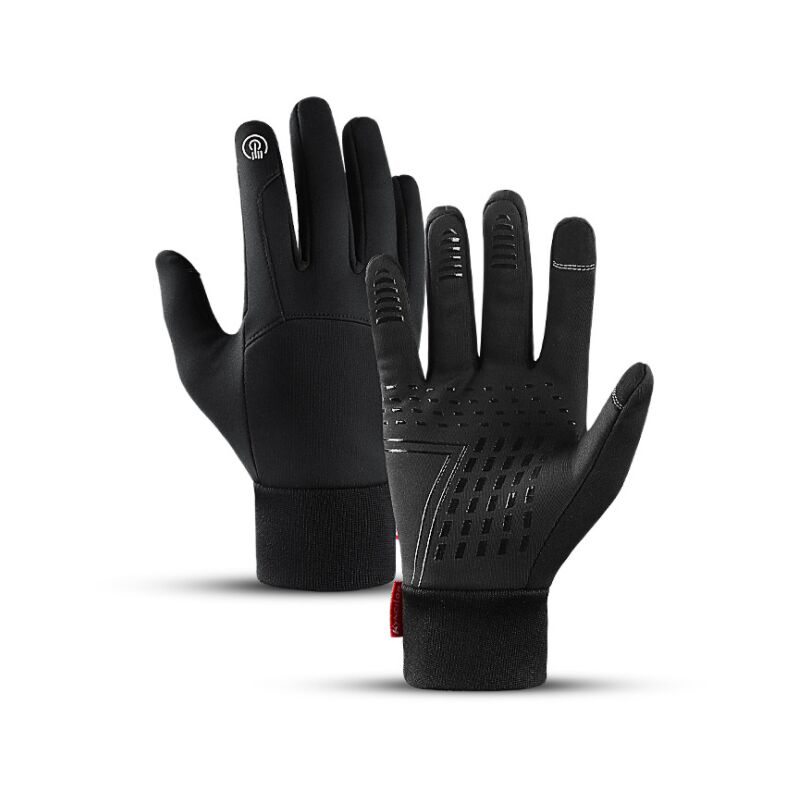 snow sports gloves