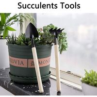 Succulent Plant Tools, Mini Garden Hand Transplant Gardening Tool Set, Indoor Plastic Transplant Bonsai for Miniature Planting, Miniature Succulent Plant Flower Gardening Kit (3 Pieces)