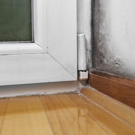 Pittura per interni Bianca Idropittura Murale Tixe Pareti vive Traspirante con Antimuffa 1 lt