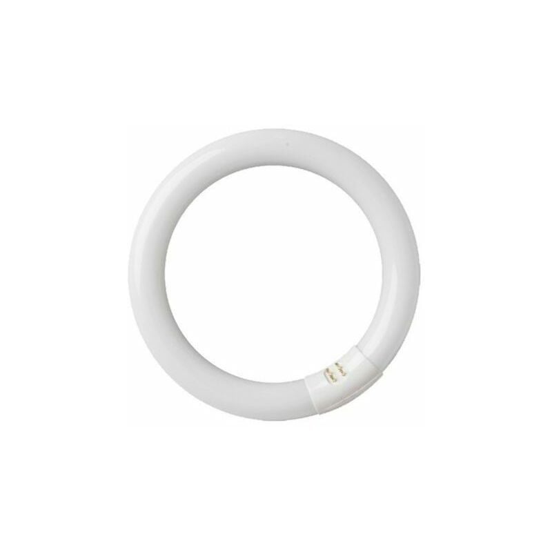 Tube fluorescent circulaire 22W T9 6400K GSC 2000589