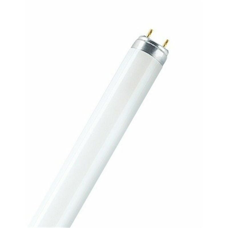 OSRAM 4050300518015  Tube fluo T8 30W/865