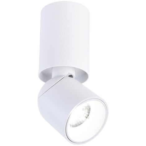 Spot de plafond orientable LED Skadi Blanc 8W 900Lm 4000K (1/4)