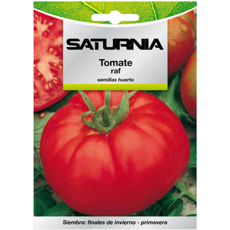 Graines de tomate raf (1.5 grammes) graines de légumes, horticulture, horticola, graines de potager. (1/2)