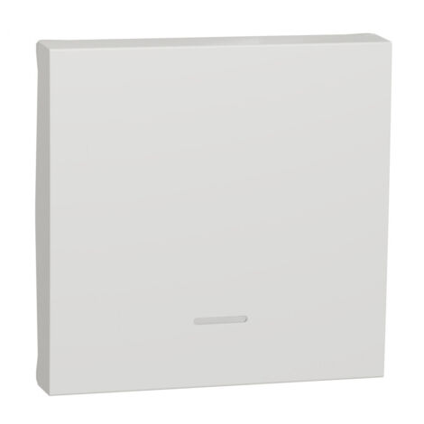 Clé à 2 modules avec viseur polaire SCHNEIDER NU920018N (1/4)