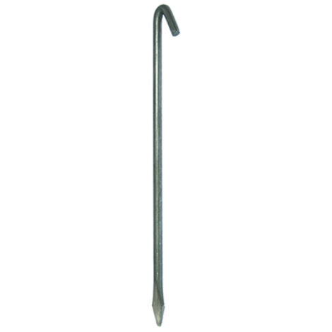 Boite 25 clous shop 300x8mm 49603 fleurs coupées (1/2)