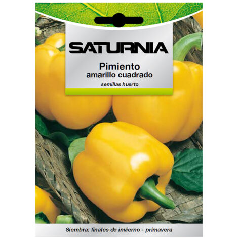 Graines de poivron jaune carré (capsicum annuum) (1,5 gramme) (1/2)
