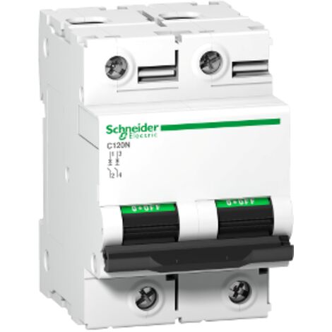 Disjoncteur C120N 2P 100 A, courbe D, 10 kA - A9N18384 (1/3)