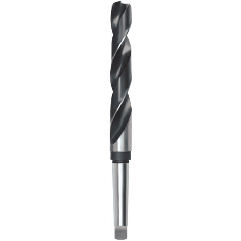 Foret en métal RUKO 204125 DIN 345 HSS-G 12 5x182 mm