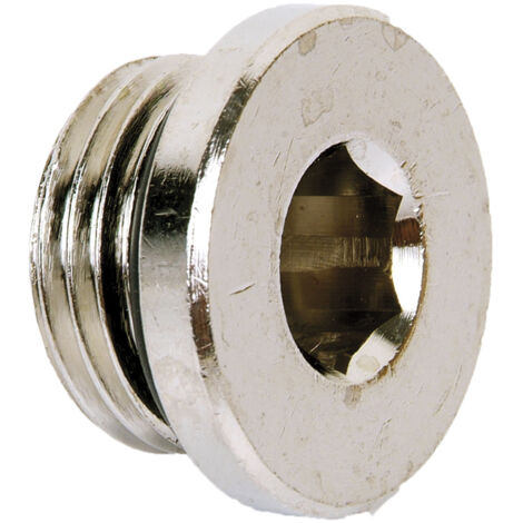 Tapon allen rosca macho con torica r-3/8