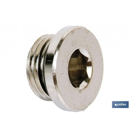 Tapon allen rosca macho con torica r-1/4
