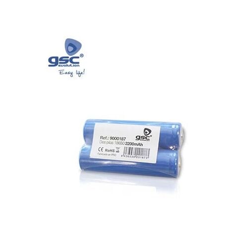 Batterie rechargeable 2x18650 2200mAh