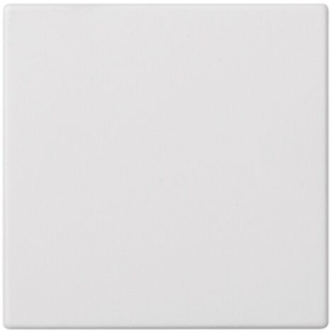 Plaque aveugle blanche SIMON 50010800-030