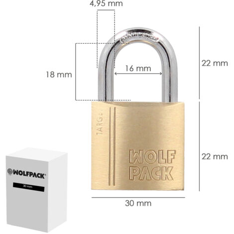 Diyife Cadenas En Laiton, Cadenas Clé [2 Pack & 6 Clés], Cadenas