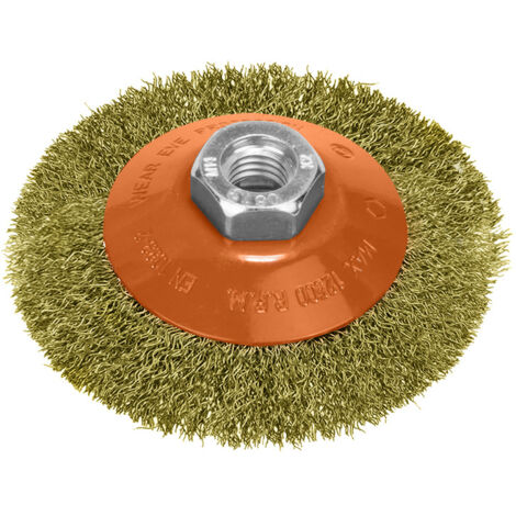 Brosse Oblique Acier Laiton Ø 100 mm. Filetage M14/fil Ø 0,30 mm. (1/3)
