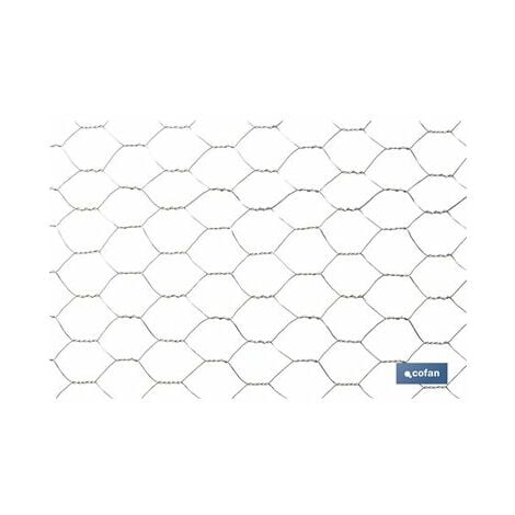 Treillis Triple Torsion 25mm Ø0,8mm (1x50m)