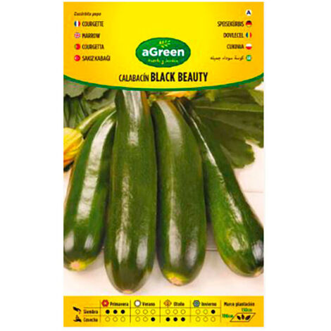 Sachet de graines de courgettes Black Beauty Agreen (1/3)