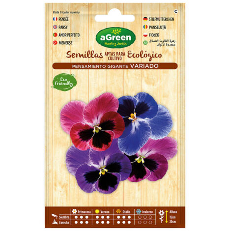 Enveloppe avec graines de pensée géante Agreen (1/3)
