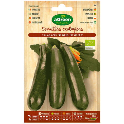 Sachet de graines de courgettes bio Black Beauty Agreen (1/3)