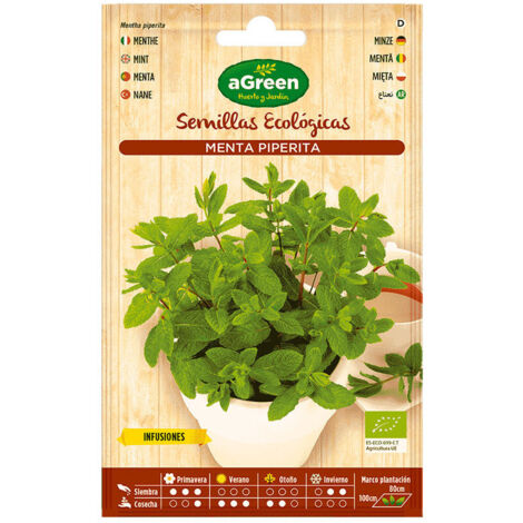 Sachet de graines de menthe éco Agreen (1/3)
