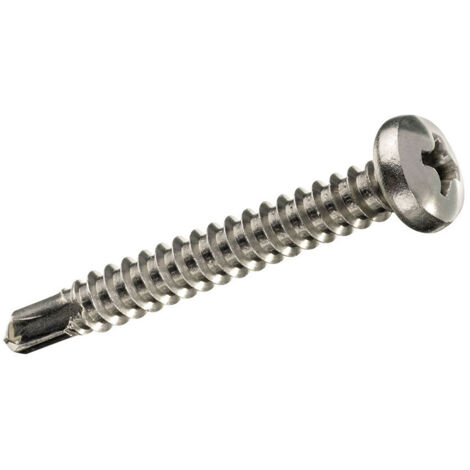 Boîte de 10 unités de vis à tôle à tête ronde autoperceuse 4,8x22mm Fadix (1/3)