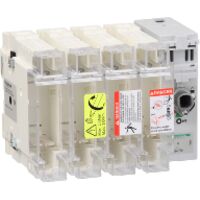 TeSys GS - interrupteur sectionneur fusible - 4P - 100A - 22x58 mm (GS2J4)
