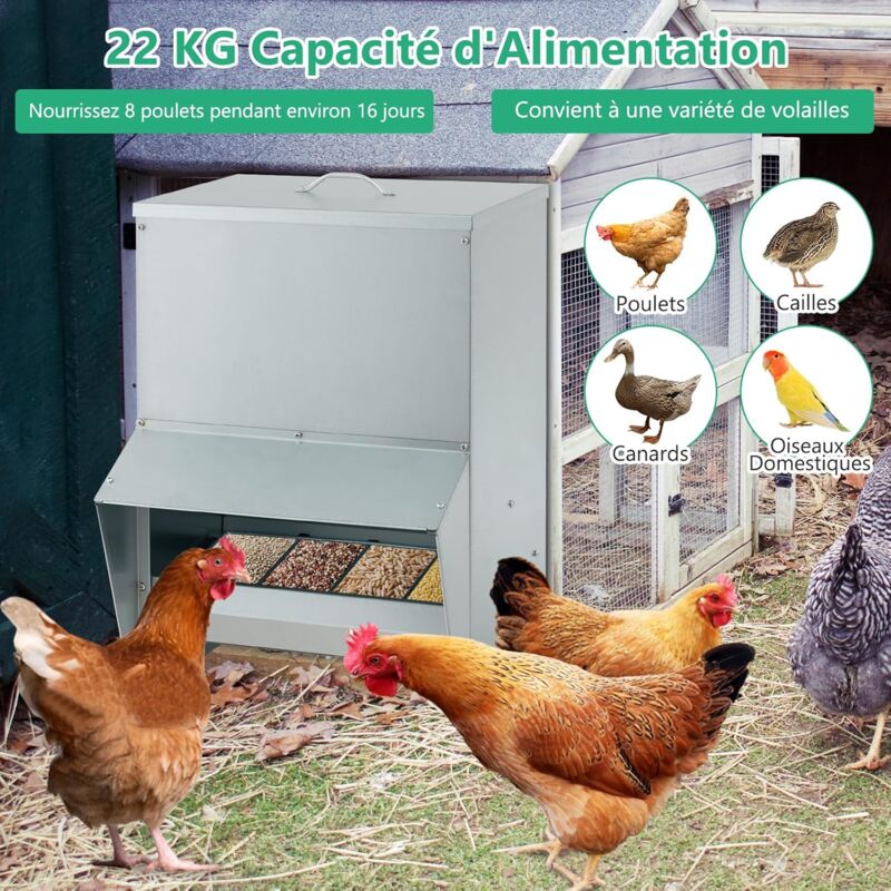 Mangeoire Poules XXL COSTWAY 22 Kg - Métal Galvanisé, Fixation Murale, Couvercle - Anti Rongeurs