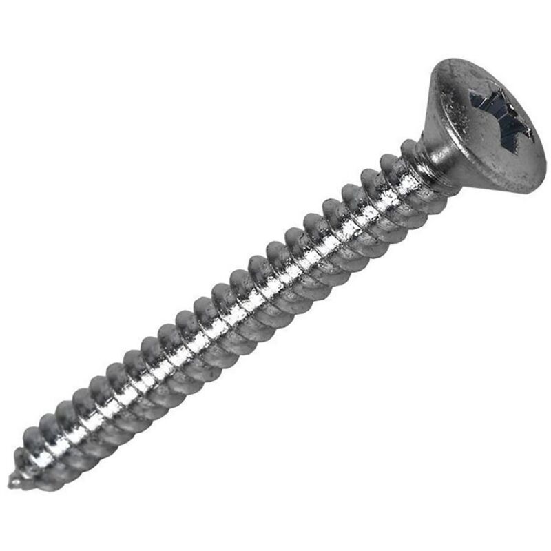 Viti Autofilettanti In Acciaio Inox 18-8, Testa Pan, Guida Quadrata, #10 X 2", Confezione Da 25