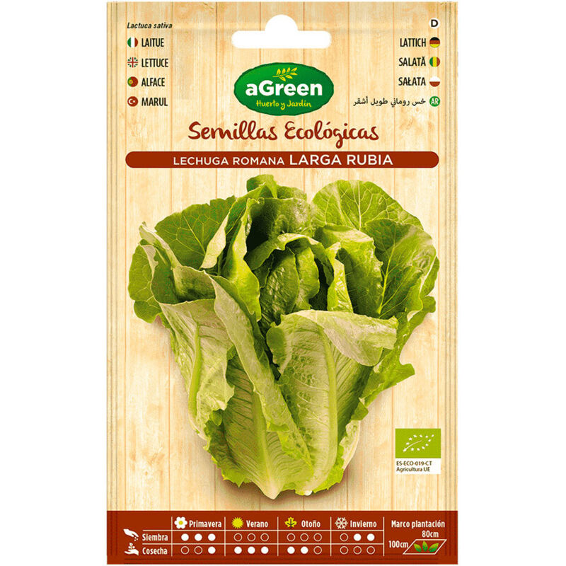 Sperli Semi Di Lattuga Dynamite - Semi Di Ortaggi Per Giardinaggio, Qualità Tradizionale, Verde