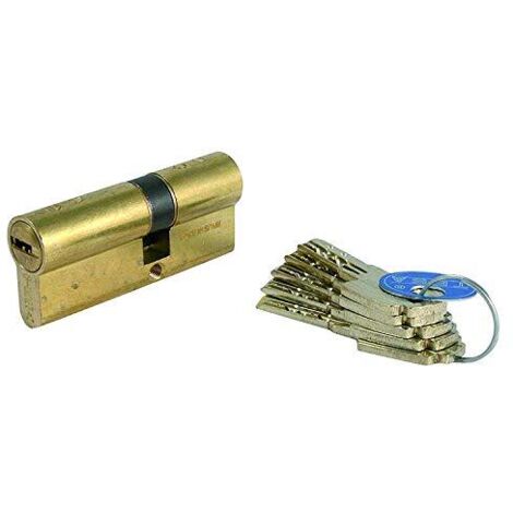 Cilindro di sicurezza TESA Europerfil T80 30x30 LT R15 con camma lunga (1/4)