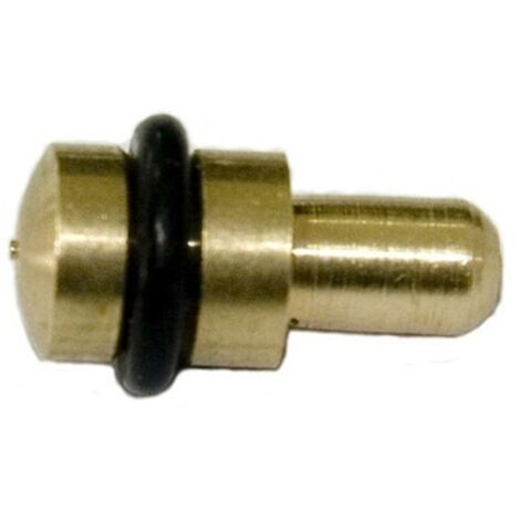 DOOLLENCE 79104800 Vite Pilota Ottone Con Rondella Per Luci Piscina E Spa Pentair - 2 Pezzi