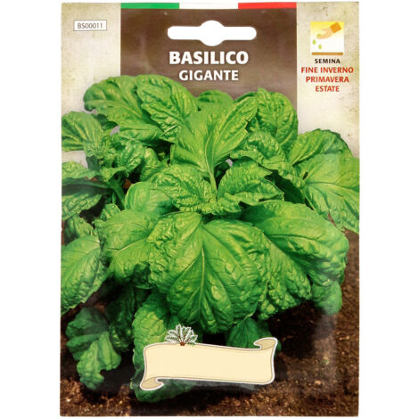 Semi Aromatici Basilico Gigante (5 grammi)