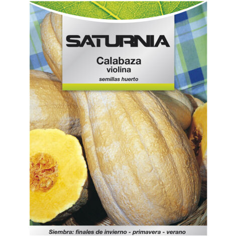 Semi di zucca violina