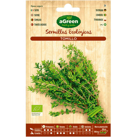 Semi Di Timo Biologico - 900 Semi Per Orto E Giardino, Aromatico E Medicinale - Foto 11