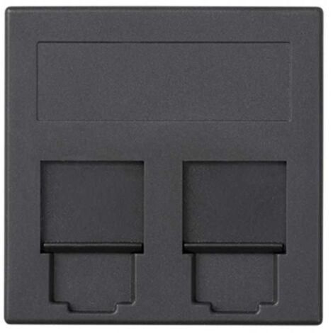 Voice and data plate flat cg 2c amp / br / sy / kr / be graphite SIMON 50000089-038 (1/3)