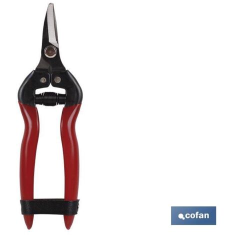Collezione Forbici Curve 165mm