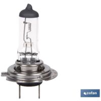 Lampada alogena Cofan h7 (px26d) 24v 70w
