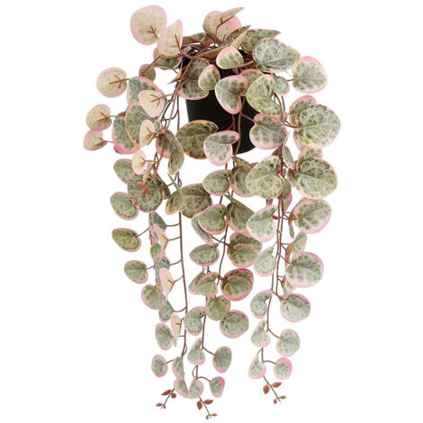 Künstliche Hängepflanze Ceropegia Woodii „Hearts Necklace“ Rosa mit Topf