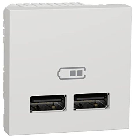 Doppel-USB-Ladegerät 2.1A 1 Polarmodul SCHNEIDER NU341818 (1/4)