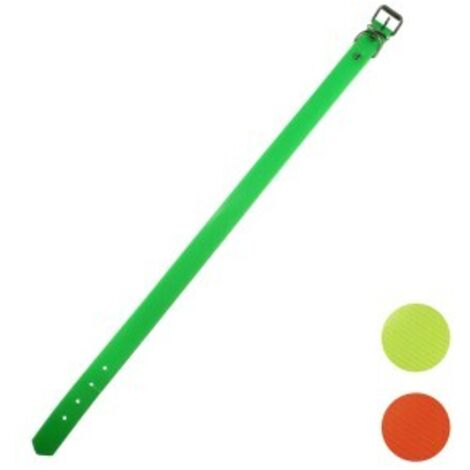 Langlebiges, hygienisches Biothane-Halsband, 25 mm x 60 cm, grün (1/2)