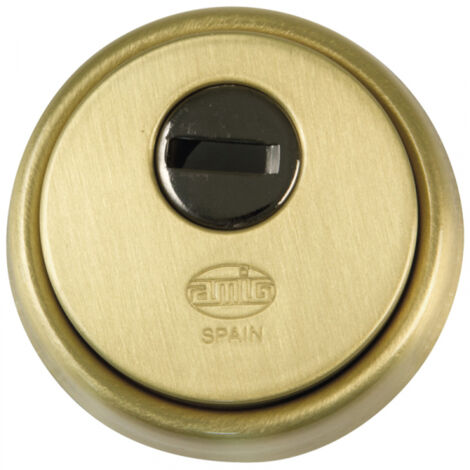 Hohlschild Messing matt 65mm Mod. 31 6360 Freunde (1/3)