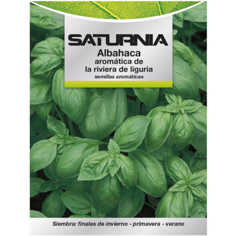 Aromatisches Basilikum Aromatica Samen (5 Gramm) Gartenbau, Horticola, Gemüsegarten-Samen.
