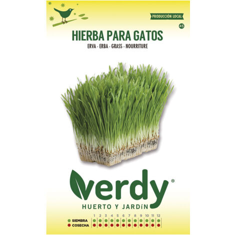 Verdy Katzengrassamenbeutel