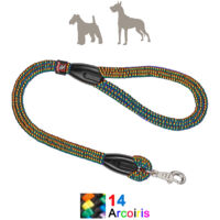 Correa perro nylon red.colores