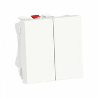 SCHNEIDER NU321318 zweipoliger Schalter 2 Module