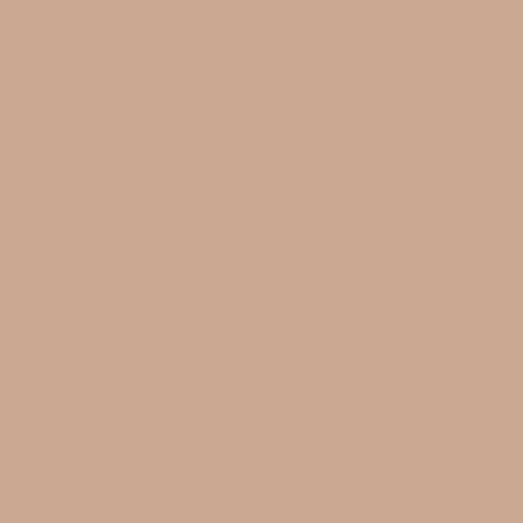 Peinture couleurs - Ultra Couvrante - TOLLENS - Résistante - Velours - Antilope - 0,75L