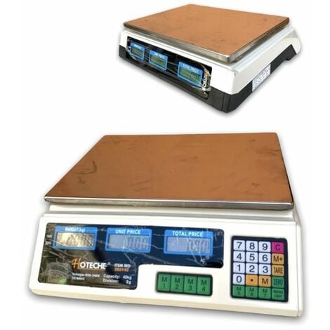 Bilancino Portatile elettronico con gancio pesca 40 kg peso valigia  professionale