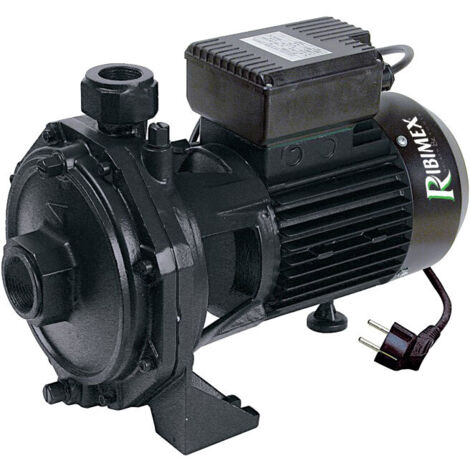 Kreisel-doppelturbinen-oberflächenwasserpumpe 2000 w - Ribiland - prrbk200 (1/2)